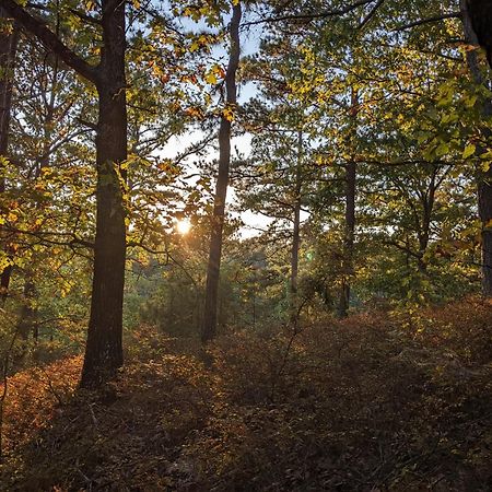 Loblolly Pines Adventure Aframe #1 Villa Eureka Springs Buitenkant foto
